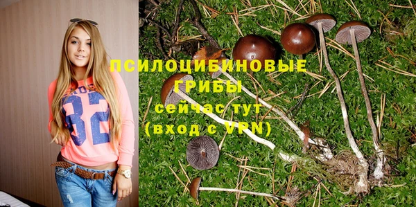 мескалин Медногорск