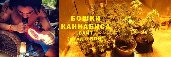 гидра Тутаев