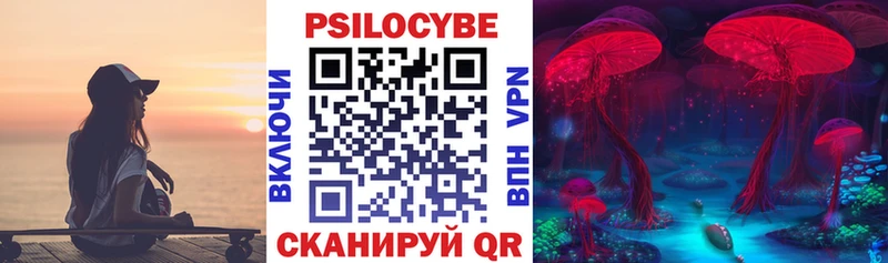 наркошоп  Устюжна  mega как войти  Галлюциногенные грибы мицелий 